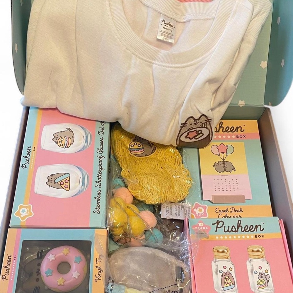 Pusheen Pastel Mint and Pink Donut Vinyl Figure Box Art